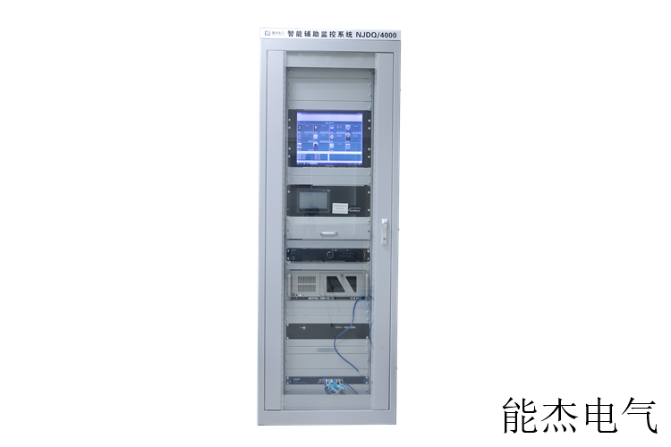 智能辅助监测系统